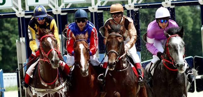 Horse Racing