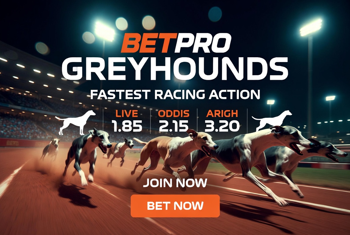 How to Create a Betpro Account in Qatar – Quick & Easy Guide for Greyhounds Racing Fans (2026)