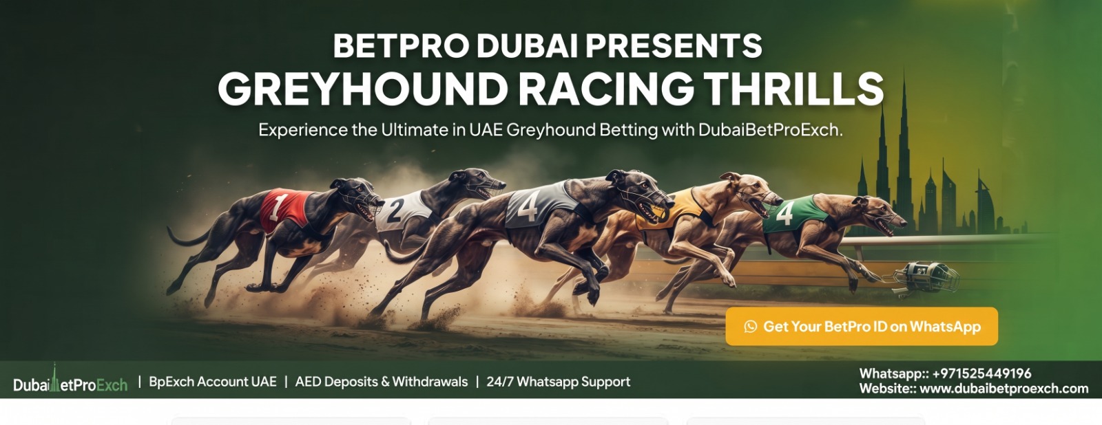 BetPro Dubai greyhound racing betting
